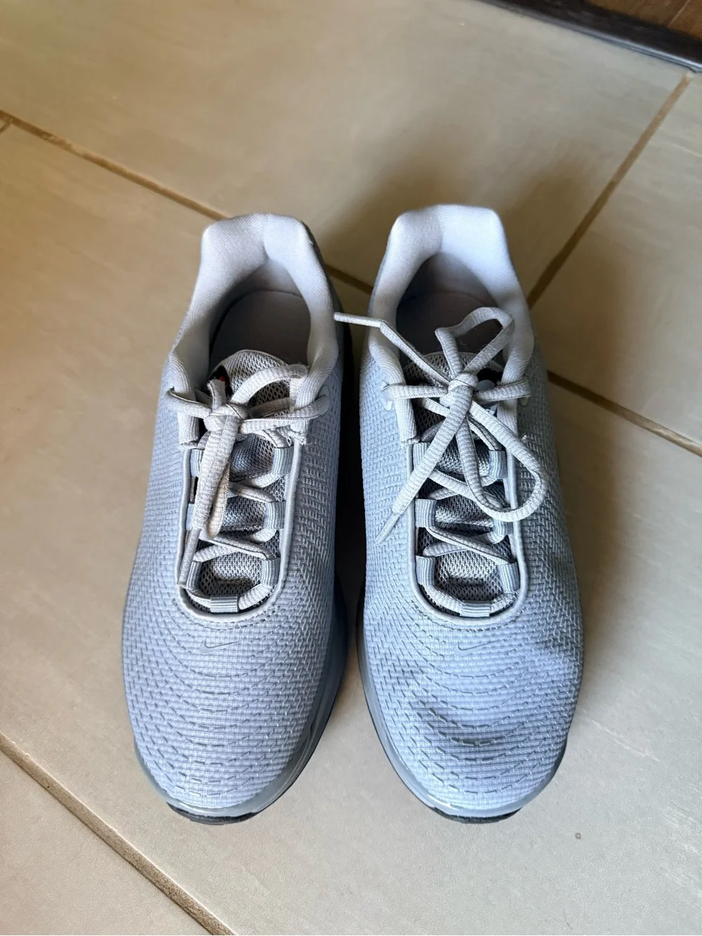 Nike Air Max Dn Big Kids' Shoes